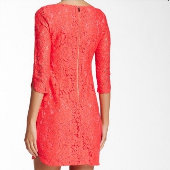 NWT Vince Camuto Lace Coral Pink Orange Sheath Dress Women's Size 10 3/4 Sleeves - Picture 2 of 16